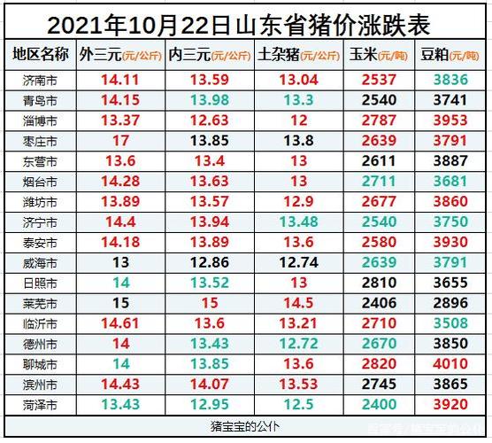 山东煤炭最新价格动态，巷弄深处的宝藏与独特小店探秘