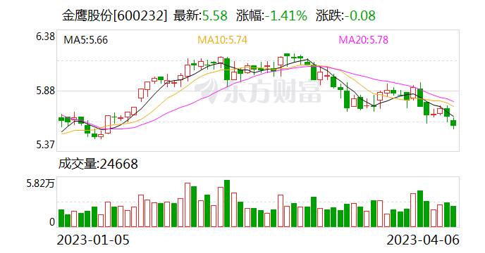 金鹰股份动态更新，学习之旅中的变革与自信成就之源