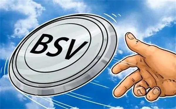 bsv最新价格,重磅更新BSV最新价格，投资新动向！