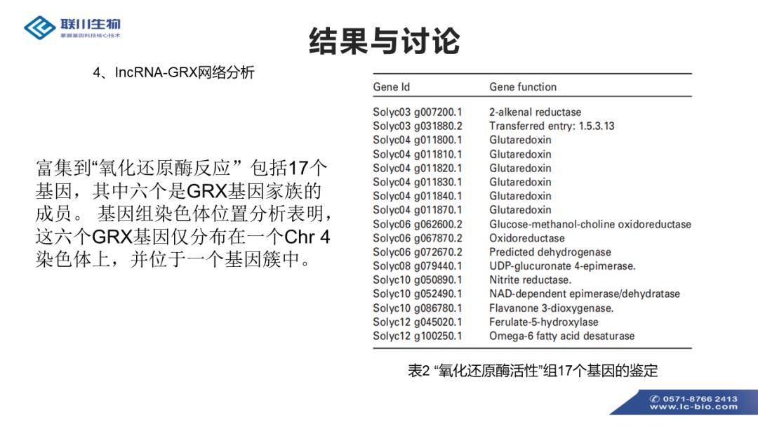 2024新澳免费资料五不中资料,调整方案执行细节_超值版17.628