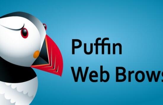 Puffin最新破解版4.7.3，探索与回顾的完美结合