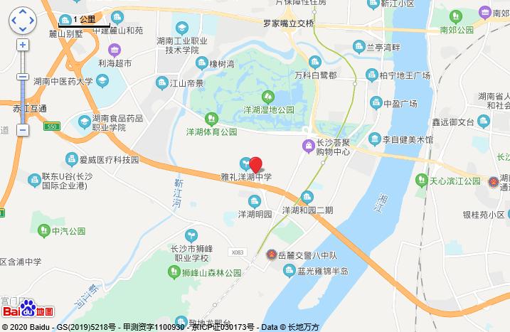 洋湖时代楼盘最新价格，市场趋势与购房指南全解析