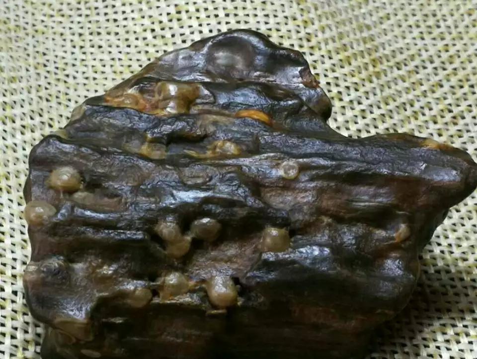 树化石交易最新价格及步骤指南