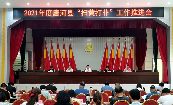 唐河政府领导班子最新篇章公布