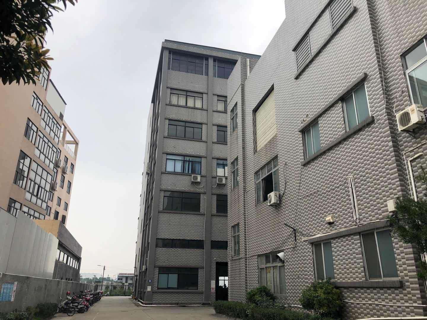 大良红岗最新招聘，小巷中的隐藏宝藏，探索无限职业机遇！